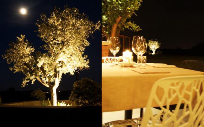 Agriturismo Colombarino Villa Desenzano del Garda Luaran gambar